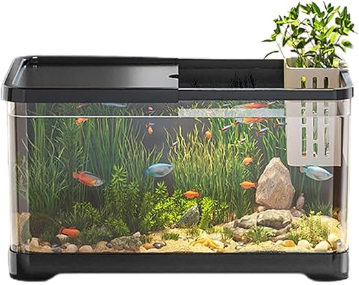 Aquarium Kit, Ultra-Clear Rimless Desktop Fish Tank