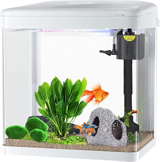 Craftsboys 15L Fish Tank with Filter and Light