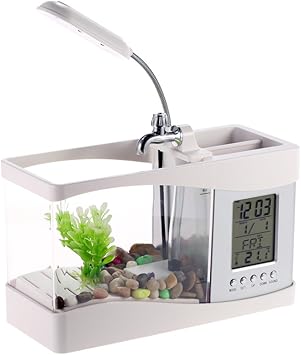 Fish Tank