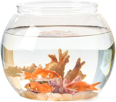 Fish Bowl Plastic Fish Tank