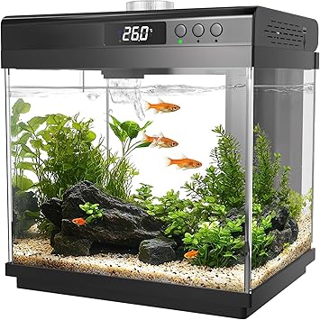 AQQA 14L Aquarium Starter Kits