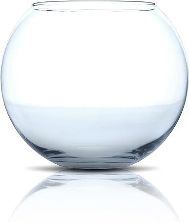Amtra Crystal Globe - Fishbowl in transparent glass