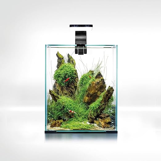 Aquael Shrimp Set Smart D&N 20 Black Ecom