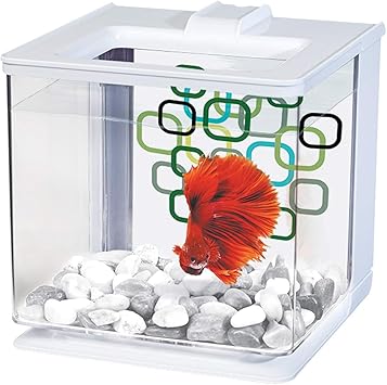 Betta EZ Care Marina Aquarium
