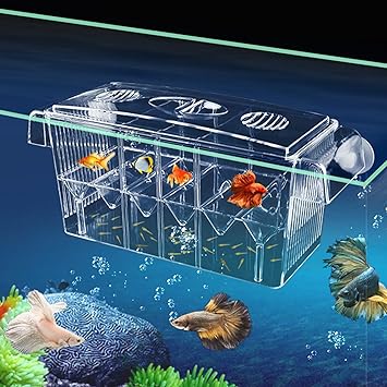 CSPone CSPone Breeding Box Aquarium