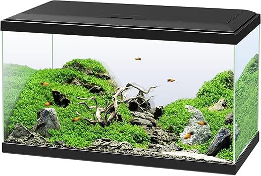 Ciano, Aquarium 60 Black, for Fish, Equipped with Filter, Consumables, LED and Heating, 58L