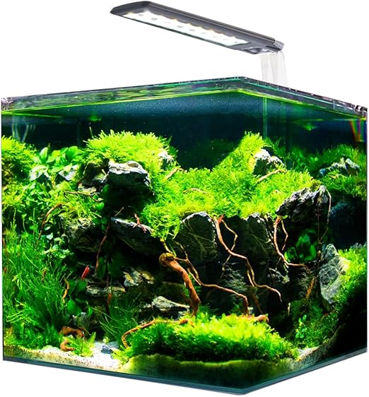 Croci AMTRA NANOTANK SYSTEM 20 - Glass aquarium complete with LED light and filter/cm 25x25x30 / 18 Liters