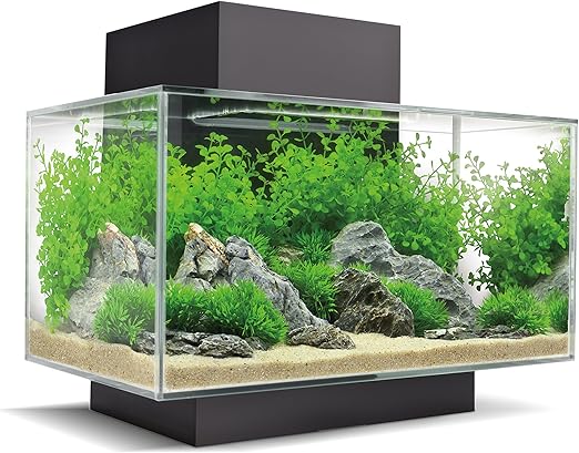 Fluval Edge 2.0 23L Aquarium Gloss Black