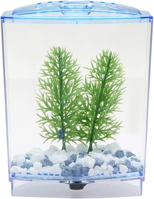 Jiawu Small Betta Fish Tank