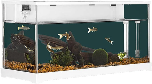Lidzopas Fish Tank, Rectangular Aquarium Tank