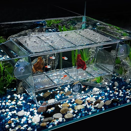 Pawfly Large Fish Breeding Box