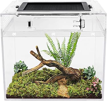 Reptile Growth Mini reptile tank