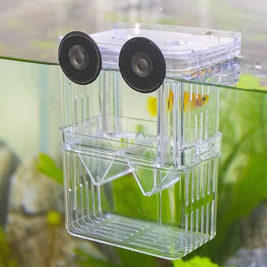 SENZEAL L Size Plastic Fish Isolation Box