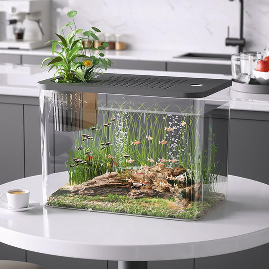 Small Fish Tank