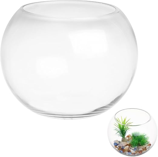 Storage Container Glass Fish Bowl