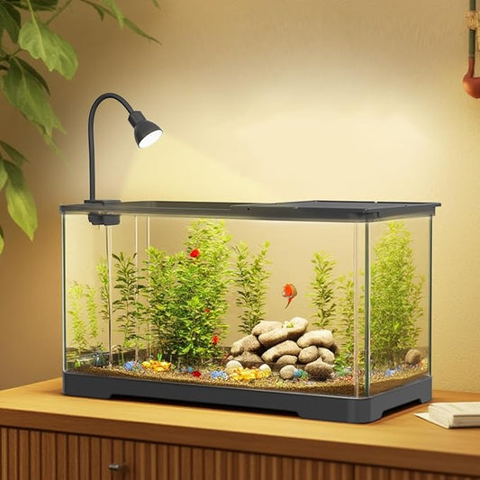 Crevyteg Acrylic Aquarium