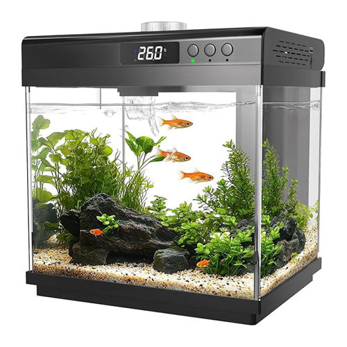 Fish Tank 4