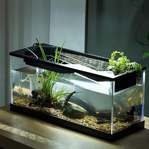 Glorlliant Desktop Fish Tank with Air Pump Aquarium and Light