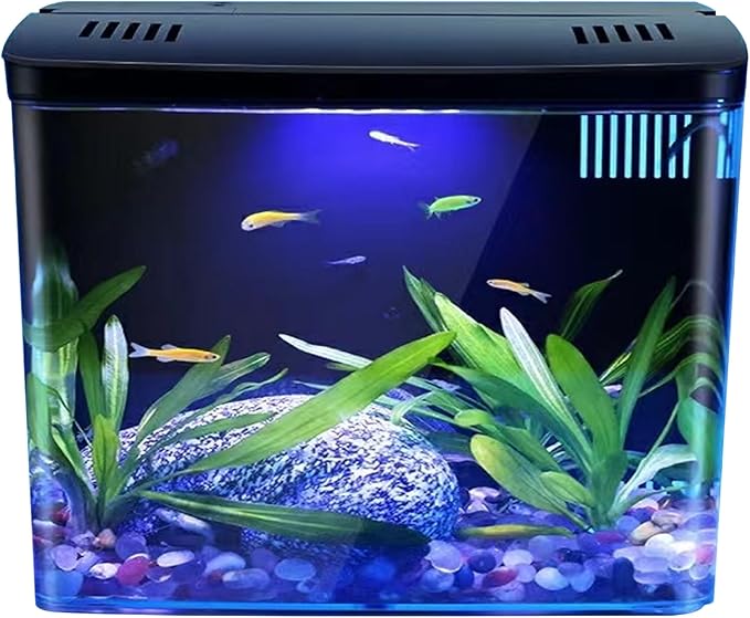 Goldfish Tank